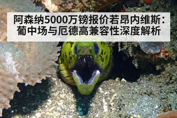 阿森纳5000万镑报价若昂内维斯：葡中场与厄德高兼容性深度解析