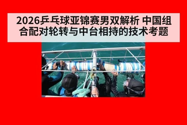 2026乒乓球亚锦赛男双解析 中国组合配对轮转与中台相持的技术考题